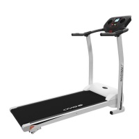 Беговая дорожка электрическая EVO FITNESS Integra (black)